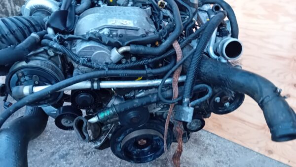 Molle A Gas Per Cofano Jeep Grand Cherokee II WJ WG (1999-2005) - Ricambio Originale 55136764AA - Foto 8